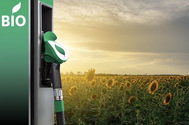 B99 Biodiesel & Blends